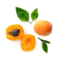 Apricot oil