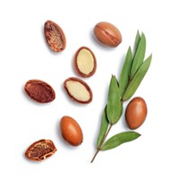 Έλαιο  Argan