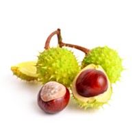 Horse chestnut extract