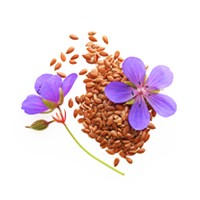 Linseed extract